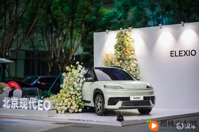 女人和公豬交内谢\：新能源汽车崛起，挑战与机遇并存-1