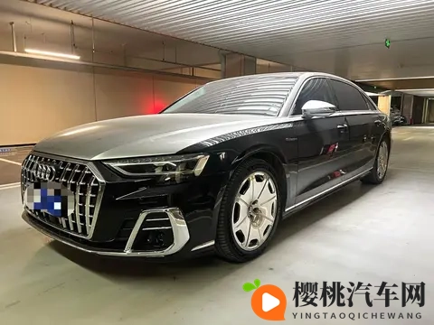 二手奥迪A8:2022款Horch创始人版,53万公里,835万!-3