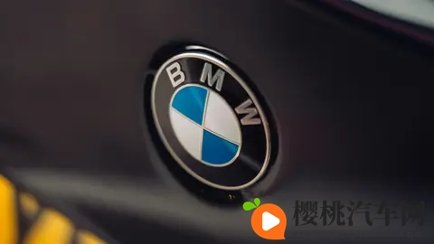 牛牛超碰：牛气冲天，激情碰撞，欢乐无限-3