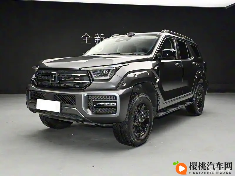 亚洲卡一卡二:科技先锋,两款车型引领亚洲汽车新潮流-2