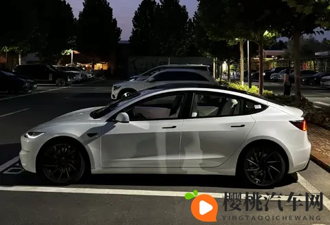 美国人：跨越国界的生活探索者-1