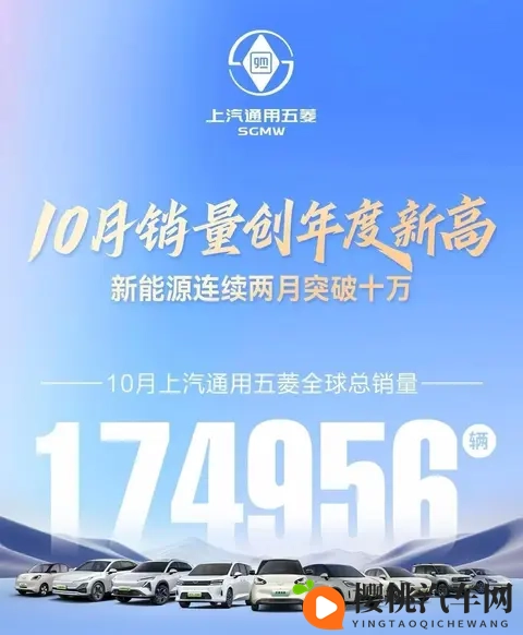 政策因素推动车市分化，主流车企增长乏力，新势力纯电动销量大涨-3