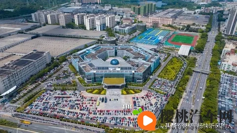 新能源车购置税减半：助力绿色出行的利好政策-3