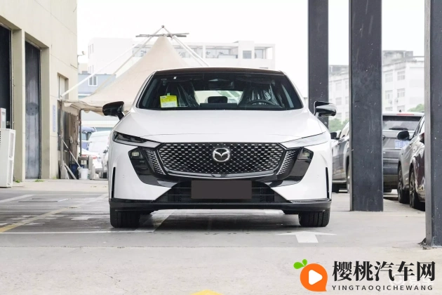 国产乱了真实:汽车市场风云涌动,国产品牌崛起之路-2