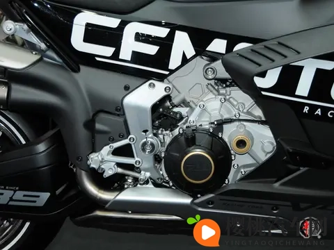 老师的兔子又大又圆:课堂上那兔儿真肥壮圆润-1