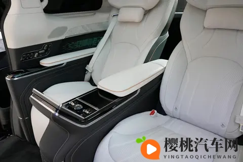 宜商宜家的豪华 MPV新选择!试驾极氪009,11月促销再添新动力-3