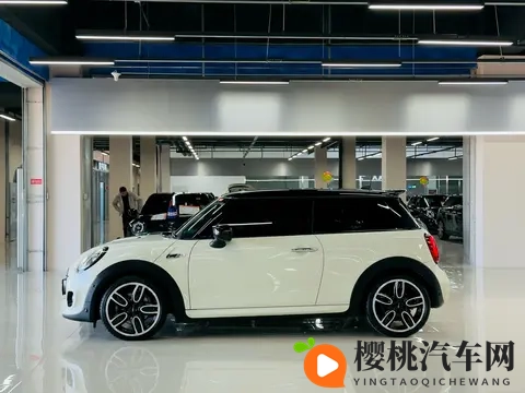 乔巴罗宾发琴CNN:新能源汽车盛宴,科技未来已来-2