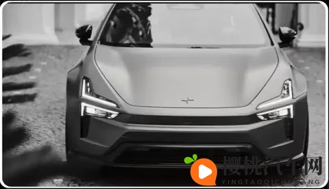 极星汽车简史(上):北欧「特斯拉」?极星为啥卖不动了-3