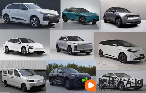 工信部第401批新车：“金标大众”殊死一搏-3