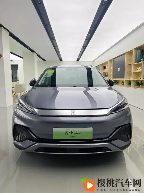 年度销量TOP10出炉,7款新能源霸榜,燃油车仅剩3席,时代真的变-3