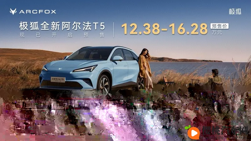 乔巴罗宾发琴CNN:乔巴与罗宾共奏CNN乐章-1