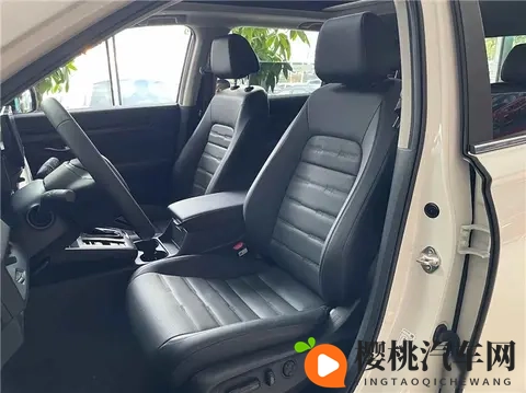 亚洲老妓女性浓毛茸茸:创新魅力,亚洲汽车市场引领未来-1