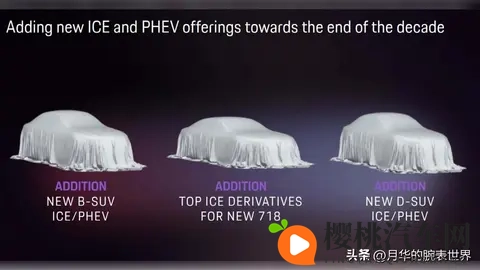 燃油 Macan 倒计时:一年后,等三年-3