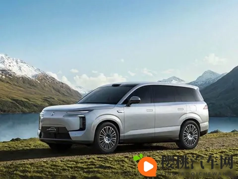 插混车在欧洲被骂骗补,中国车主却当宝用,这事儿真挺魔幻-2