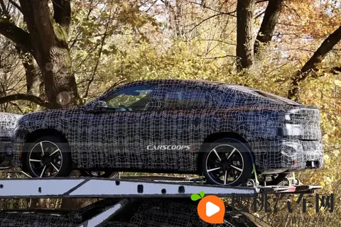 天天爱天天：汽车品牌崛起：揭秘国内一线豪车新秀-1