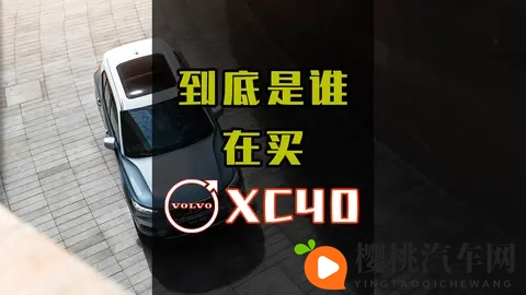第215期：到底是谁在买沃尔沃XC40？-1