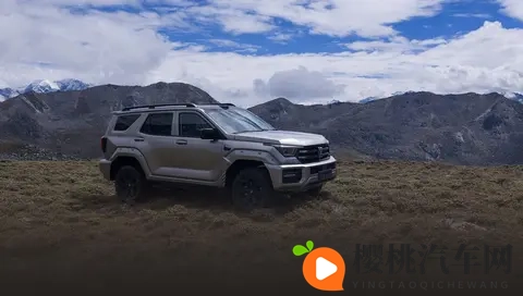 全新坦克400上市，4种动力挑花眼，具体应该怎么选？-2