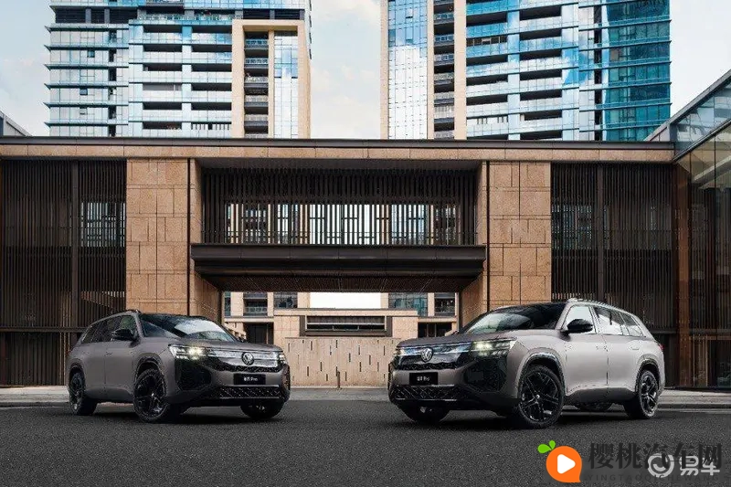 红桃视频网站:红桃影视平台在线观看-1