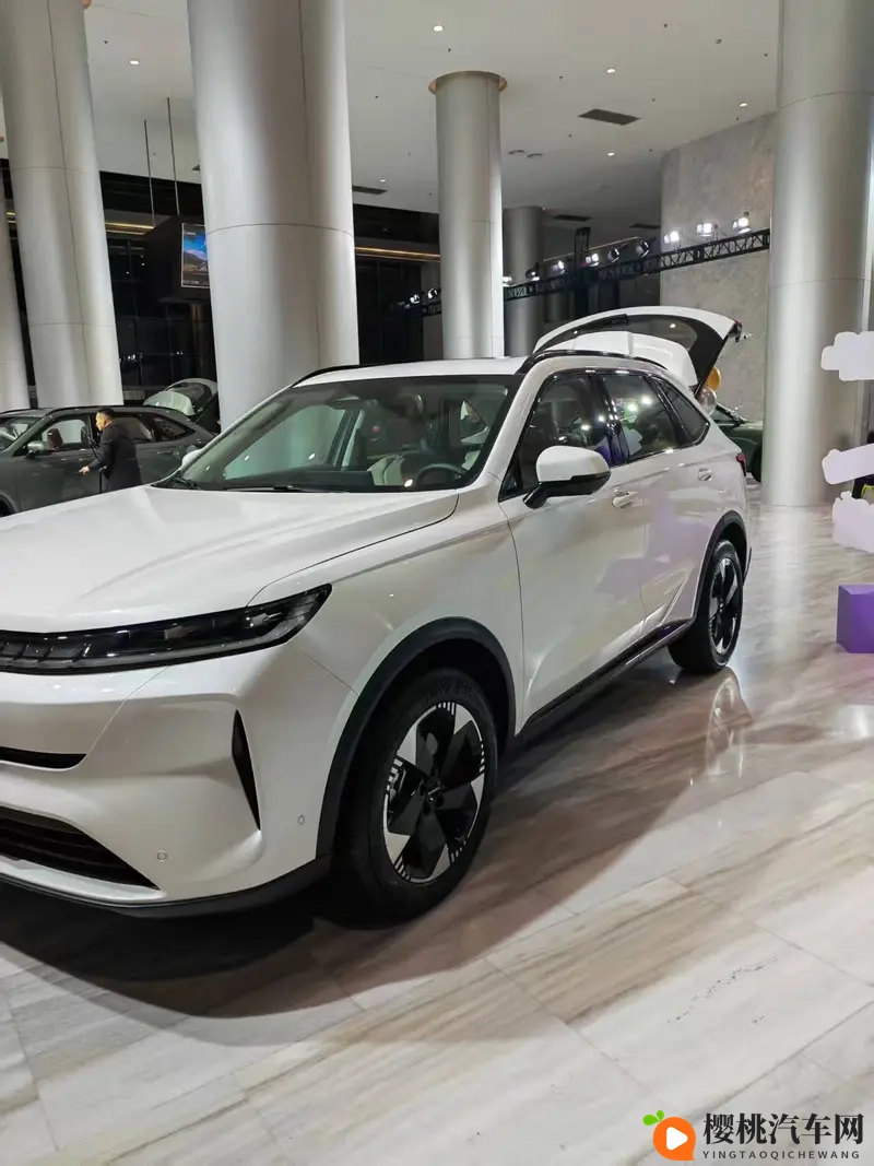 哈弗H6L正式上市：1039万起开启“为爱升舱”新旅程-1