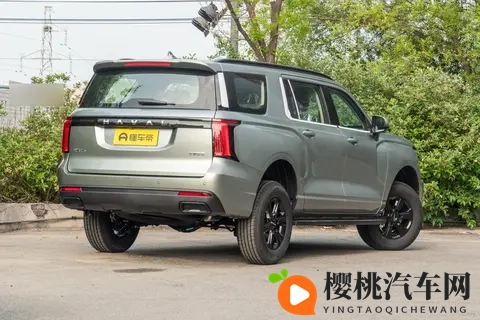 能拉货能越野,价格是坦克300的一半,配20T+8AT,分时四驱-1