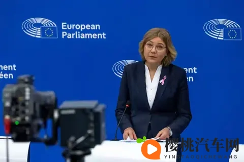 安世半导体风波:荷兰“抢”走公司,欧洲车企为何还得求中国?-2