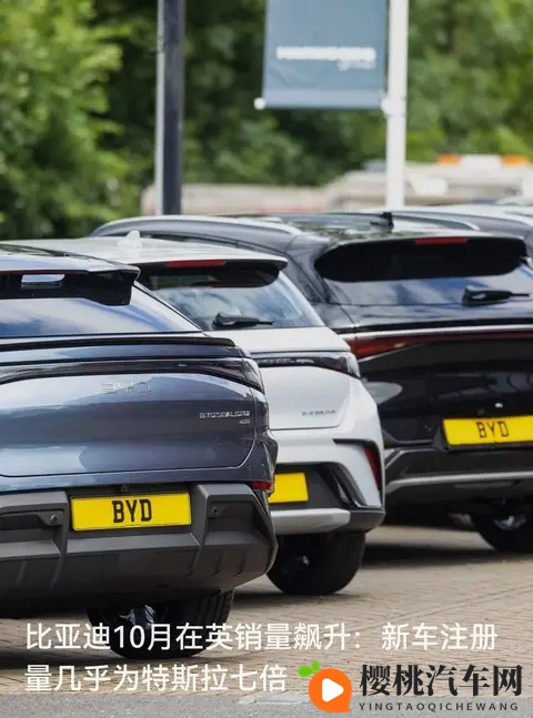 比亚迪10月销量是特斯拉7倍,中国电车在海外杀疯了-1