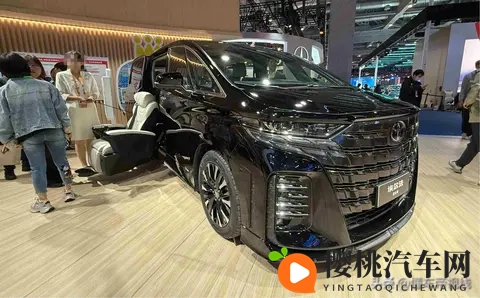 轮椅能开进车里,140万值不值?有钱人也得为尊严买单!-2