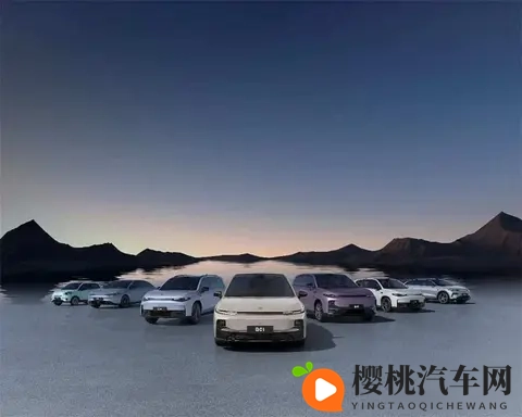 新能源车主喊贵，保险公司也头疼，这账到底怎么算的-2