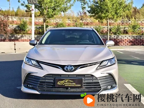 打扑克又疼又叫视频开发免费下载：免费下载视频，打牌游戏趣味十足-2