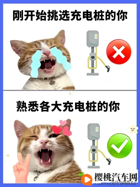 2025车检新政实测!15年以上老车免半年检,省千元成本-1
