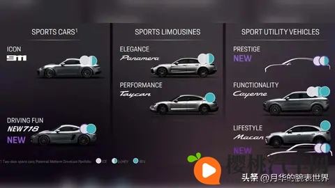 燃油 Macan 倒计时:一年后,等三年-2