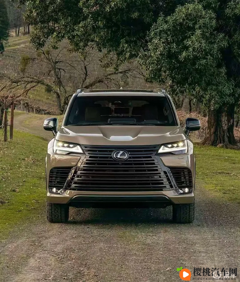 男生和女生差差差的app：汽车选择大揭秘：男女差异大不同-2