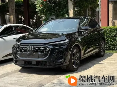 太难了!10月中大型SUV销量榜:燃油车大败,钛7亚军,宝马X5第12-1