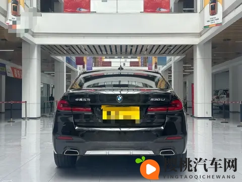 乌兰图雅一级毛片看：汽车技术革新：挑战与机遇并存，未来已来-2