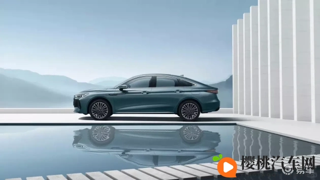 天天拍天天干：日复一日，专注拍摄，不懈努力-1