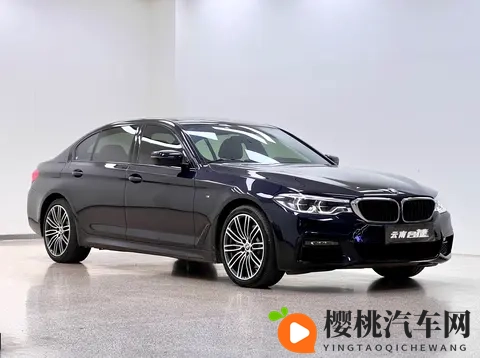 19年宝马530Li,62万公里,228万,宜商宜家好选择-3
