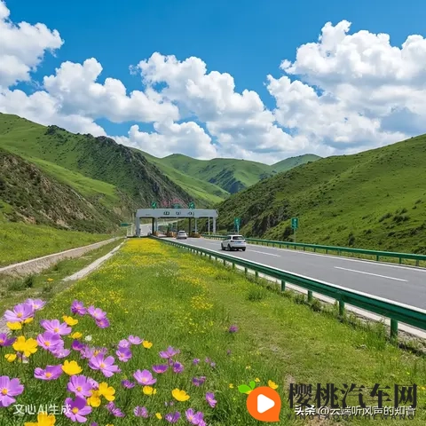 高速公路的治理挑战-2