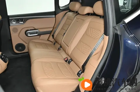 smart精灵#5,豪华又省油,家用很不错-1