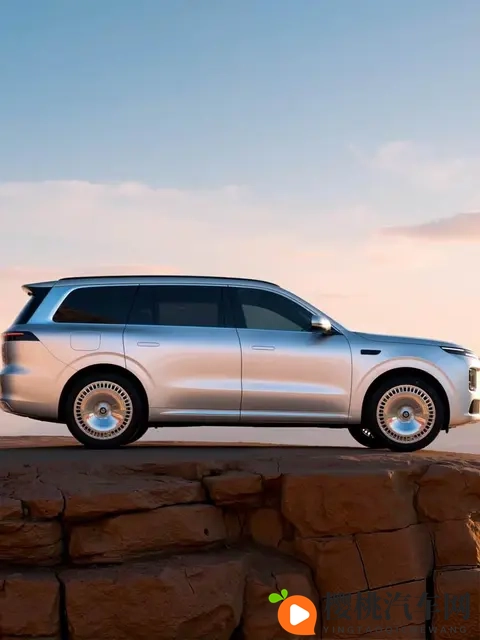 黄色富二代：豪车世界里的独特选择：揭秘富二代购车秘密-2