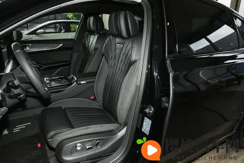 红旗H9:20T的4款车型,哪款更值得选?-3