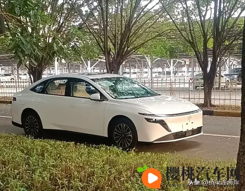 王牌竞速女性胸罩里面的东西:《竞速女神胸衣揭秘:秘密装备大公开》-1