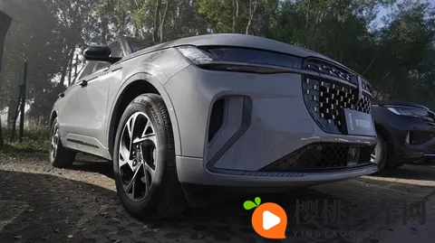 青梅竹马是消防员：消防员与爱车：安全守护者的传奇故事-1