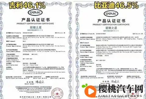 奇瑞超48%,长城415% ,中国发动机热效率是全球最强还是营销噱头-3