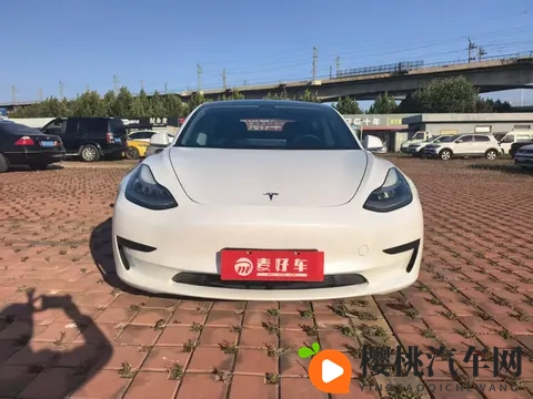 拔萝卜打牌不盖被子：新能源汽车创新，未来出行新风尚-3