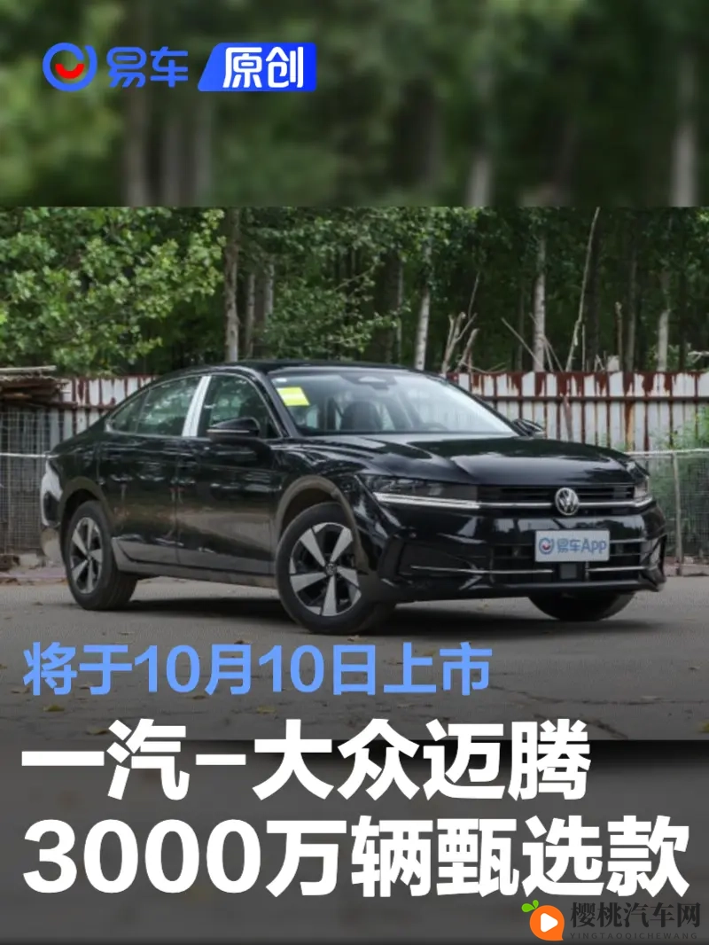 网站晚上你懂的:深夜探索,揭秘神秘网站内幕-2