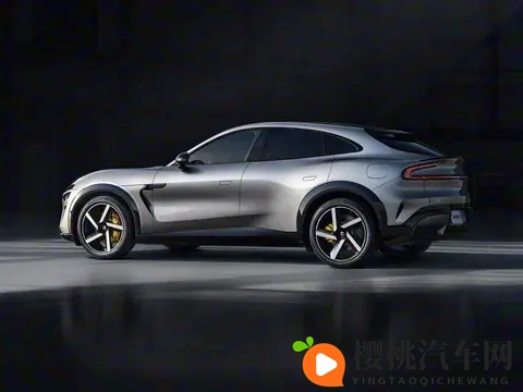 三年亏20万!新能源车选购避坑指南-2