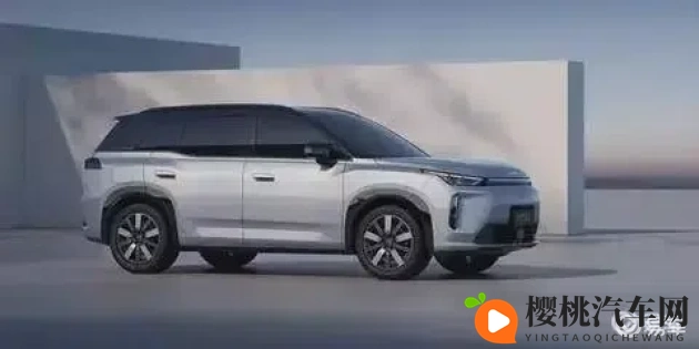 极端奴役受虐狂XXXⅩ:极致狂热:XXXⅩ,驾驭梦想之车-2