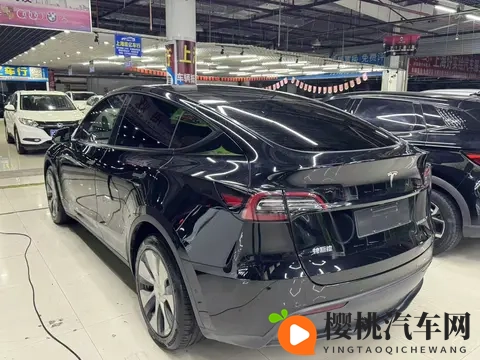 16万多拿下特斯拉Model Y,告别里程焦虑,这价格香不香?-2