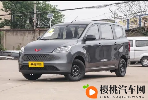 548万起!全新五菱宏光燃油版上市,7座+15L超实用-1