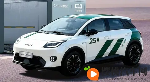 小车也有大市场：2025新能源小车“顶流”密码！-2